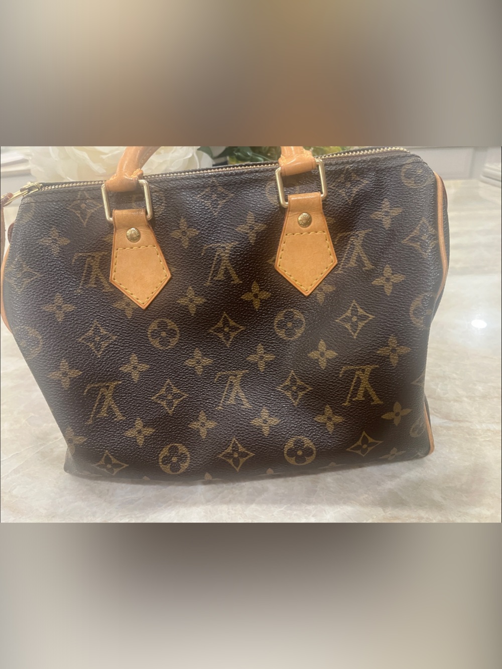 Louis Vuitton Speedy 25 Monogram - Picture 7 of 10